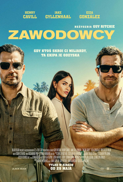 Plakat wydarzenia:  Zawodowcy 