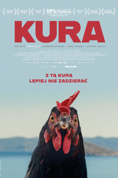Plakat wydarzenia:  Kura 